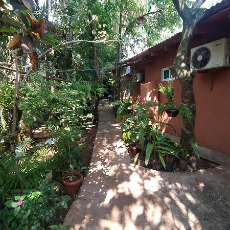 Hostel Guazu Puerto Iguazú Eksteriør billede