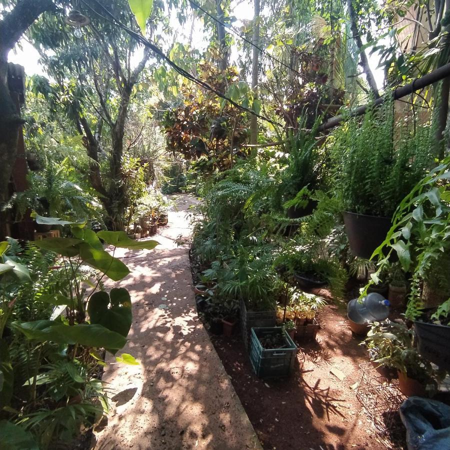 Hostel Guazu Puerto Iguazú Eksteriør billede