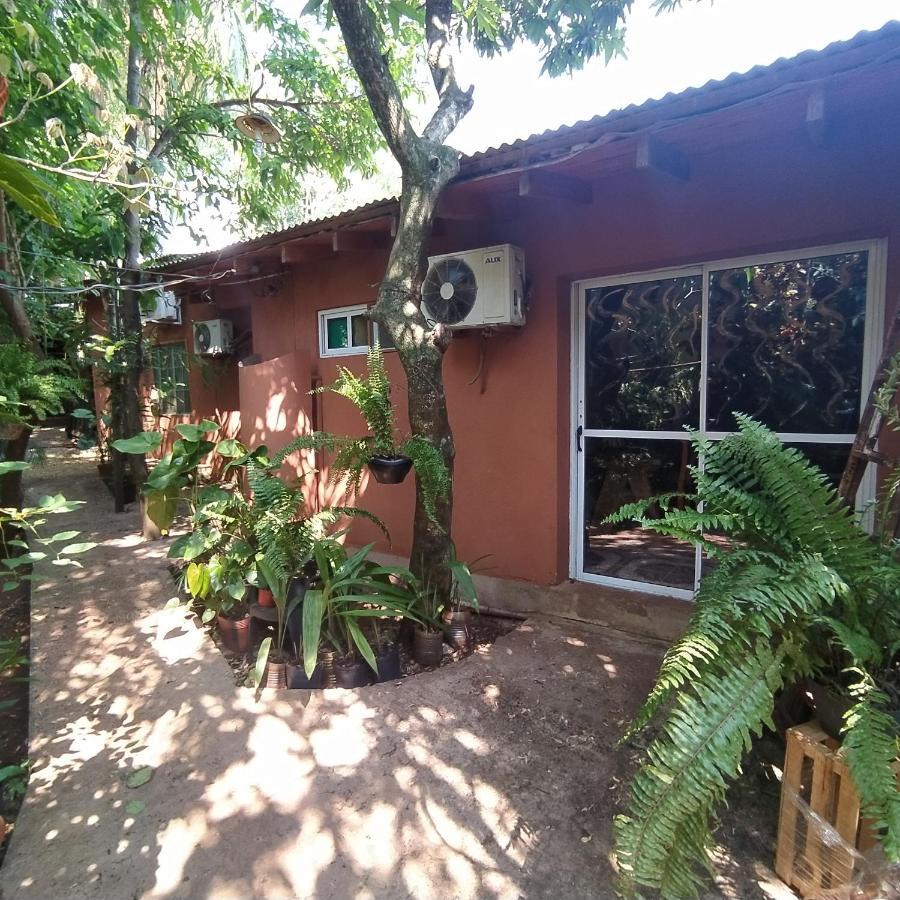 Hostel Guazu Puerto Iguazú Eksteriør billede