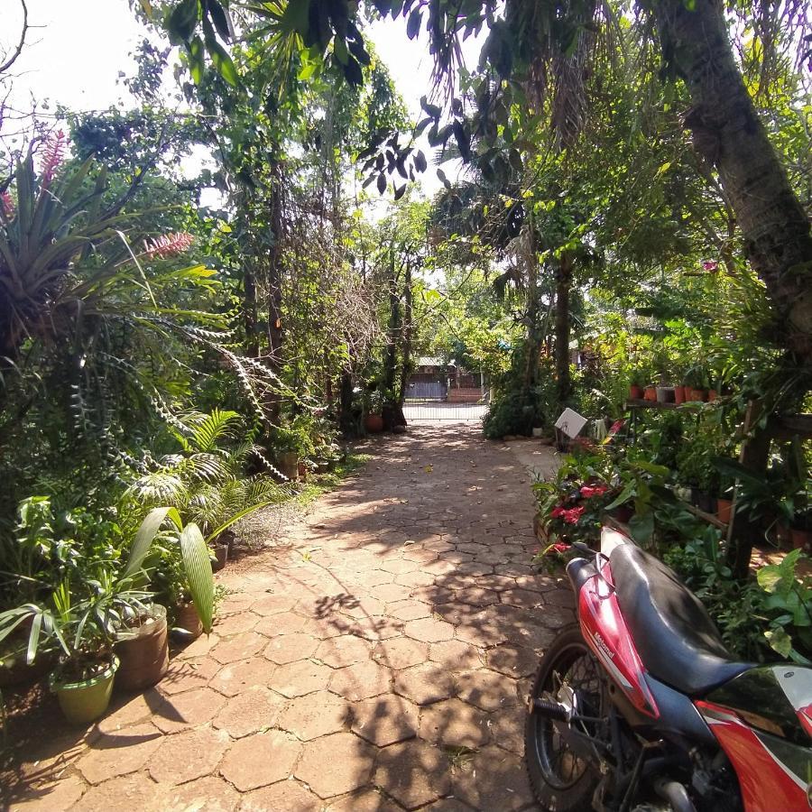 Hostel Guazu Puerto Iguazú Eksteriør billede