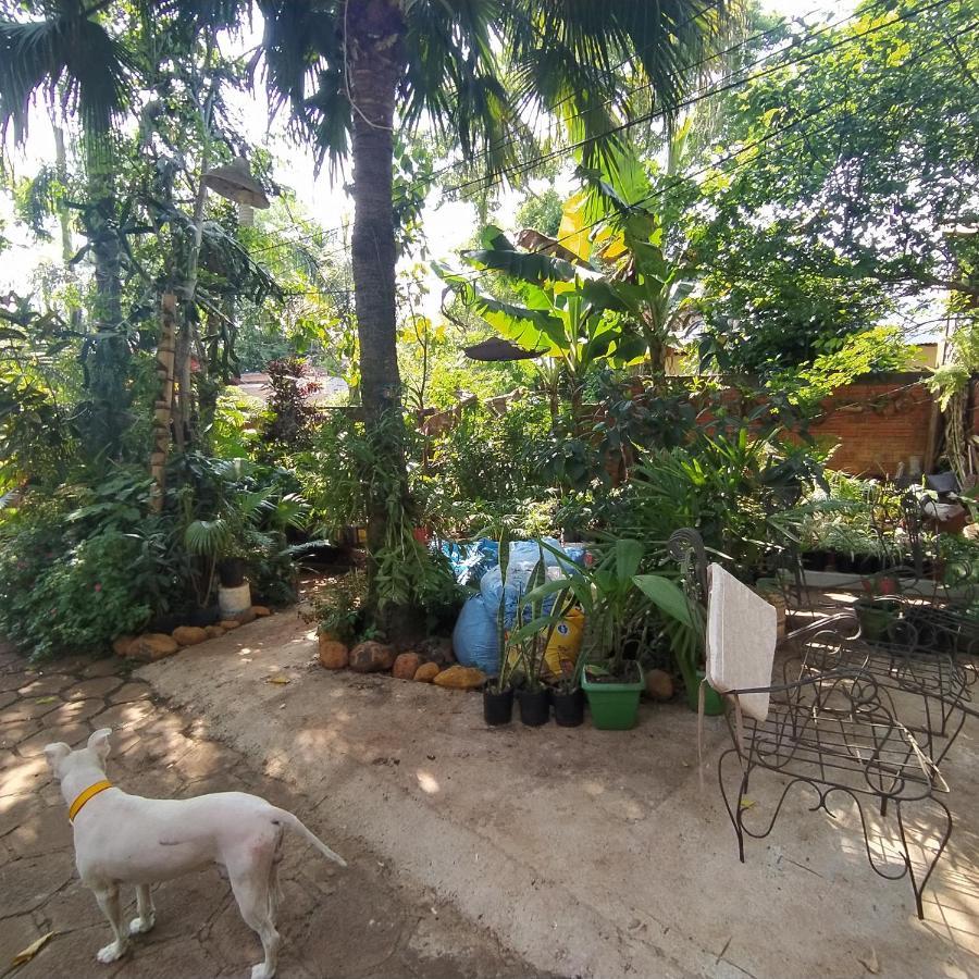 Hostel Guazu Puerto Iguazú Eksteriør billede