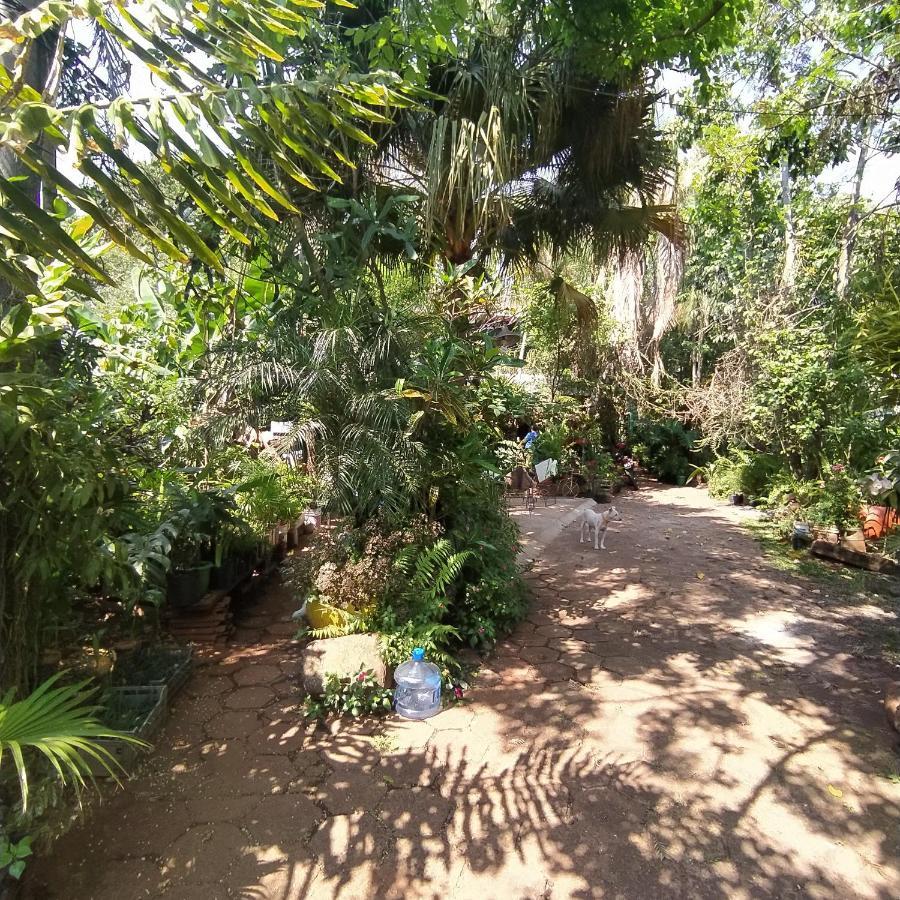 Hostel Guazu Puerto Iguazú Eksteriør billede