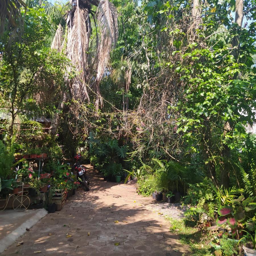 Hostel Guazu Puerto Iguazú Eksteriør billede