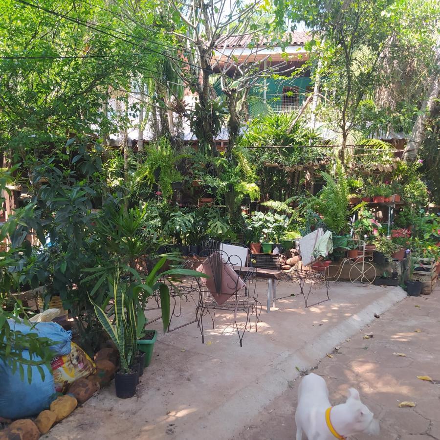 Hostel Guazu Puerto Iguazú Eksteriør billede